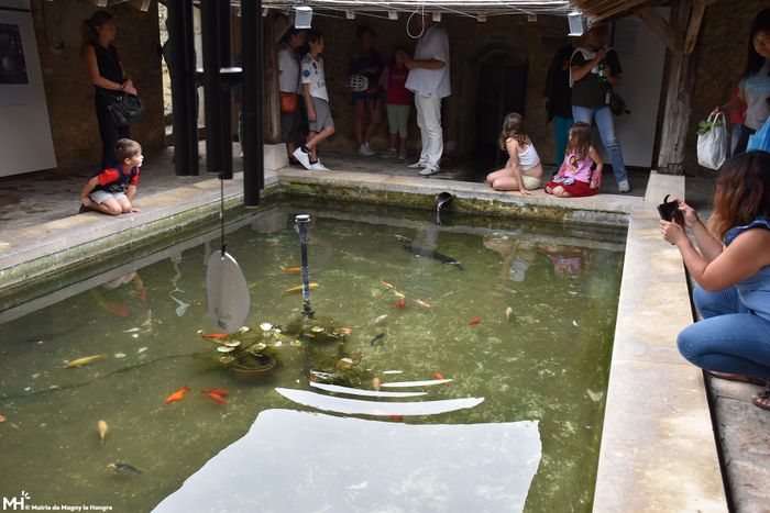 Visite du lavoir Sainte-Geneviève, Lavoir Saint-Geneviève, Magny-le-Hongre