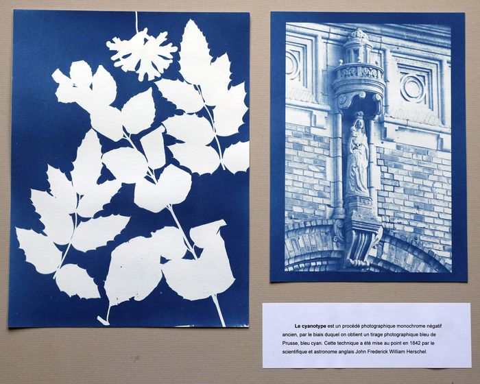 Visite du local du Photo-club de Bailleul et atelier cyanotype, FERME DE LA HULOTTE – Maison de la vie associative, Bailleul
