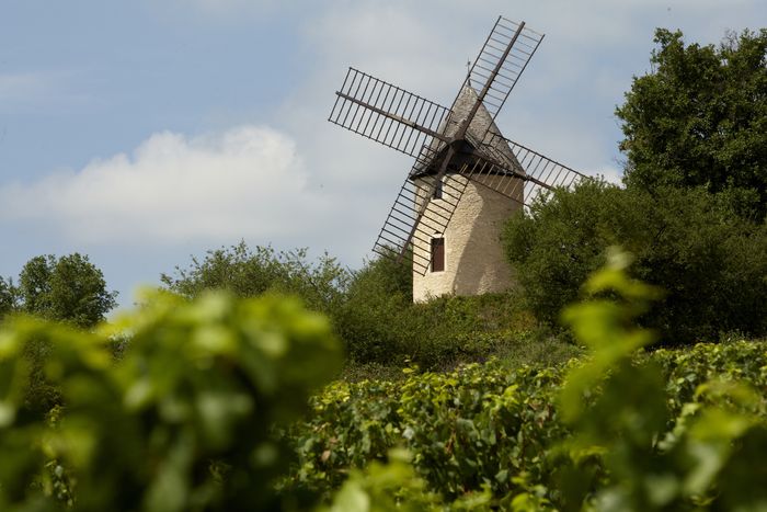 Visite du Moulin Sorine, Moulin Sorine, Santenay