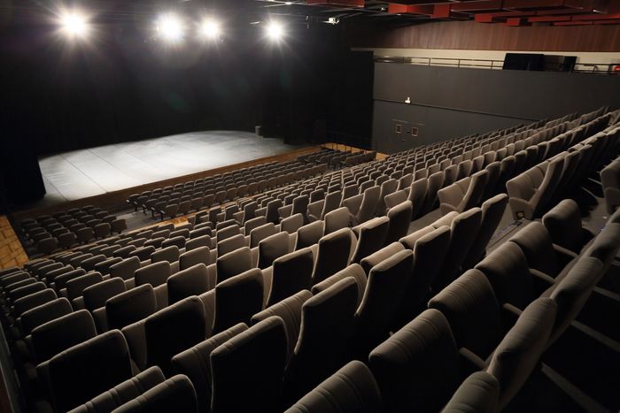 Visite du Théâtre Antoine Watteau, Théâtre Antoine Watteau, Nogent-sur-Marne