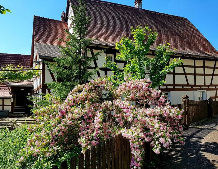 Visite et animations à la Maison Rurale de l&rsquo;Outre-Forêt, Maison rurale de l&rsquo;Outre-Forêt, Kutzenhausen
