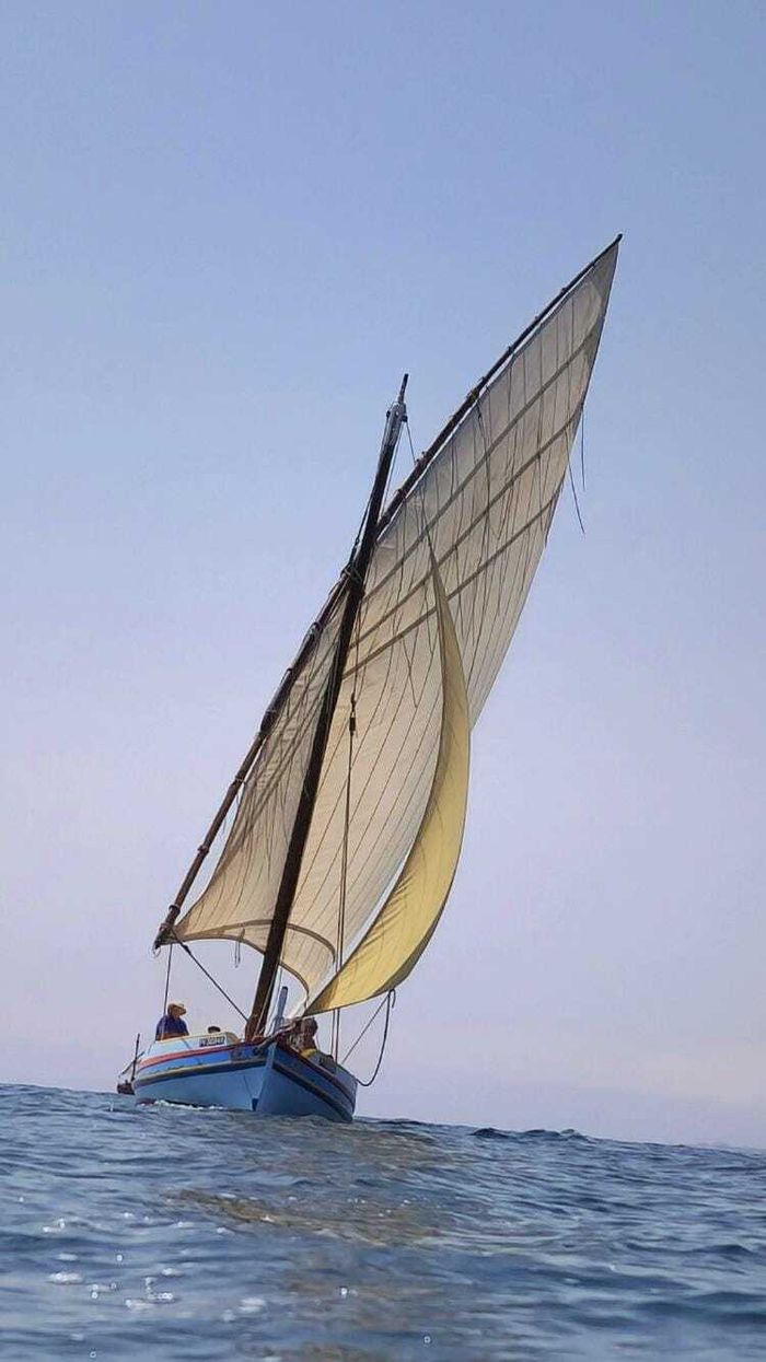 Visite et sortie avec la barque catalane de Sardinal ND de Consolation M.H., Port d&rsquo;Argelès-sur-mer, Argelès-sur-Mer