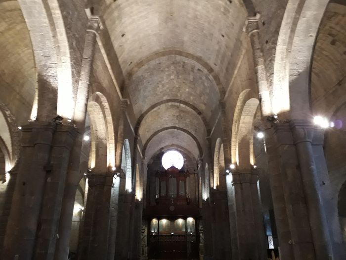 Visite flash, Cathédrale Notre-Dame-des-Pommiers, Sisteron