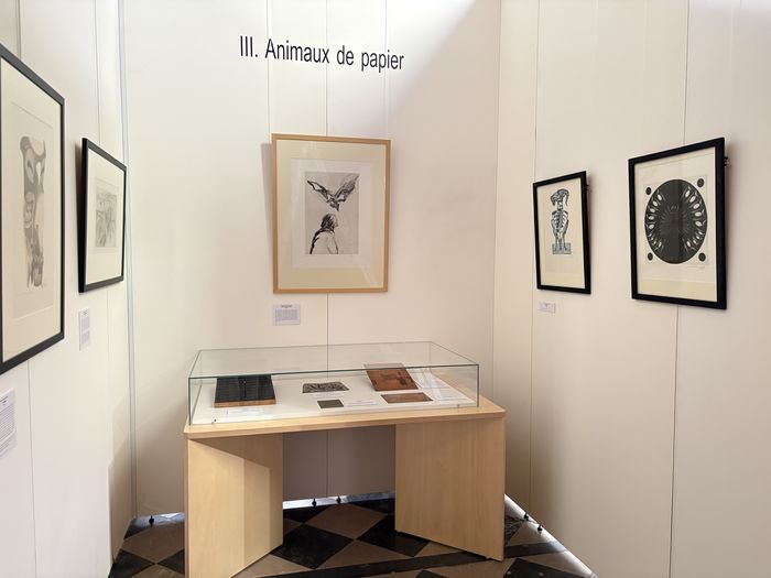 Visite flash de l&rsquo;exposition Estampes du XXe siècle – Collections de la Ville d&rsquo;Abbeville, Le Carmel – Maison du Patrimoine, Abbeville
