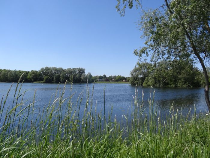 Visite guidée à la découverte de la préservation du patrimoine naturel de la chaine des lacs, Pavillon de chasse, Villeneuve-d’Ascq