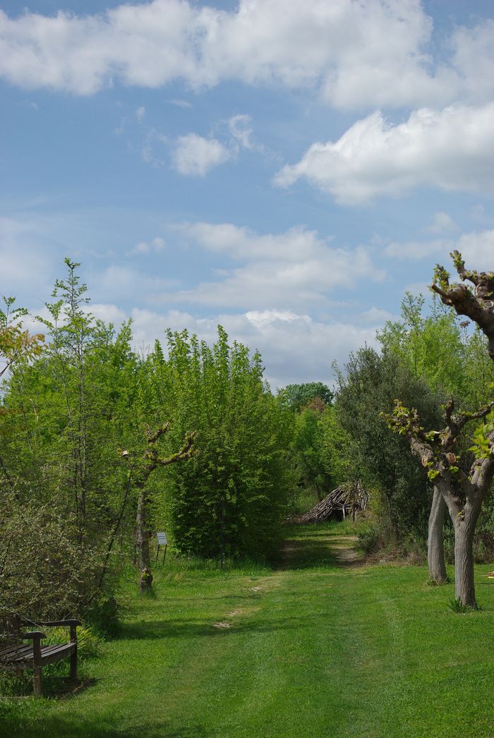 Visite guidée Arbres de Provence, Salagon, musée et jardins, Mane