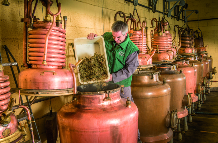 Visite guidée de la Distillerie – Verveine du Velay Pagès, Distillerie pagès, Saint-Germain-Laprade