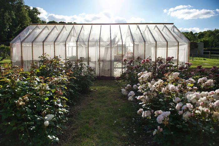 Visite guidée de la ferme florale, Château de Canon, Mézidon Vallée d’Auge
