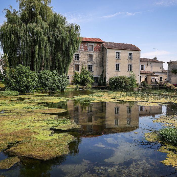 Visite guidée de la minoterie Baud, Minoterie Baud, Bourg-Charente