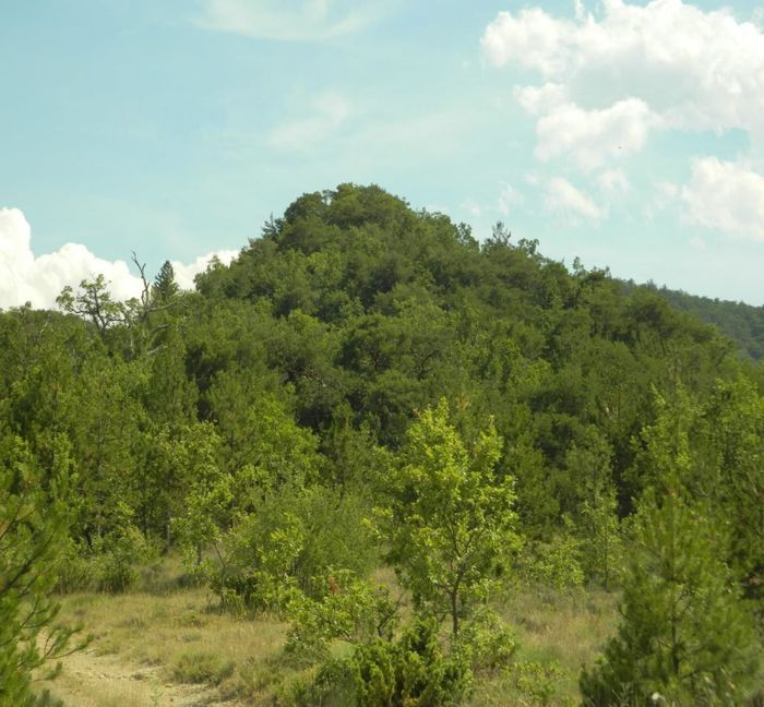 visite guidée de la motte castrale de Mallefougasse, jas de Bully, Mallefougasse-Augès