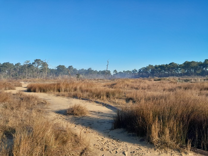 Visite guidée de la Réserve Naturelle Nationale des prés salés d&rsquo;Arès-Lège, La cabane du résinier, Lège-Cap-Ferret