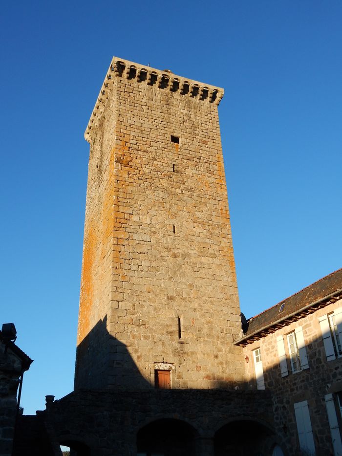 Visite guidée de la tour médiévale de Teyssieu, Village de Teyssieu, Teyssieu