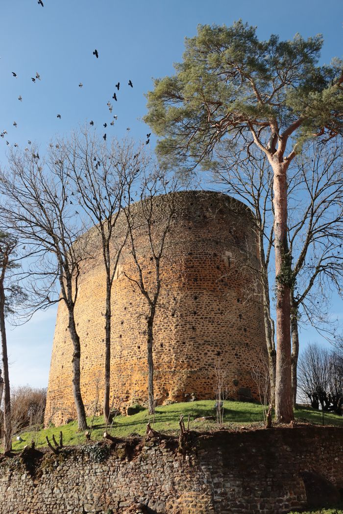 Visite guidée de la Tour Sarrasine, Tour Sarrasine, Saint-Sauveur-en-Puisaye