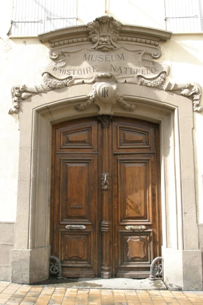 Visite guidée de l’hôtel de Lazerme (Çagarriga) et du Muséum d’histoire naturelle de Perpignan, Muséum d’Histoire naturelle, Perpignan