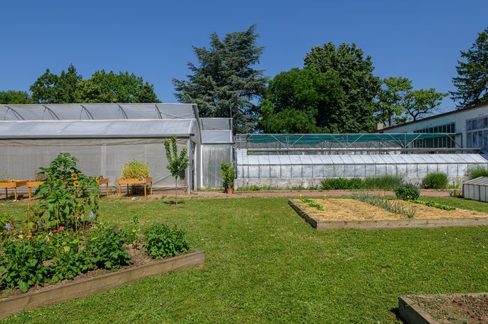 Visite guidée des serres et réalisation d&rsquo;une coupe de plantes d&rsquo;intérieur, Parc de Parilly, Bron