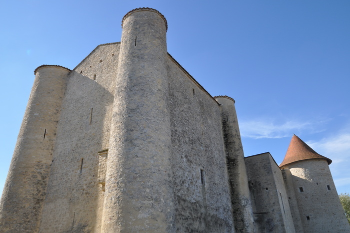 Visite guidée du château de Cherves, Château de Cherves, Cherves