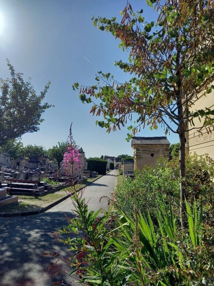 Visite guidée du cimetière ancien, Cimetière ancien, Saint-Germain-en-Laye