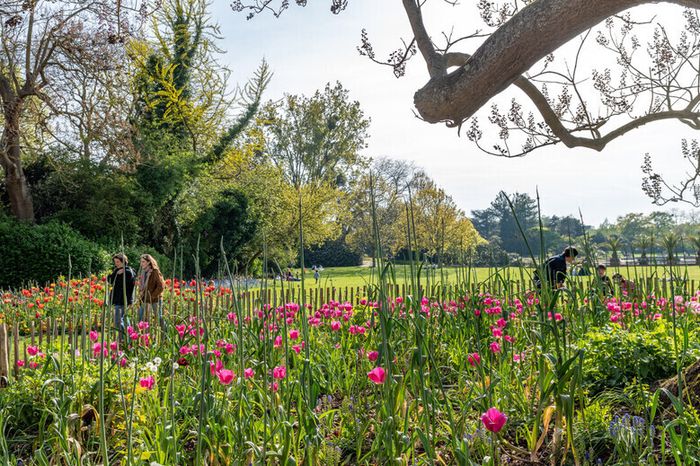 Visite guidée du Jardin des Plantes dans le cadre des Journées du Patrimoine, Jardin des plantes, Lille