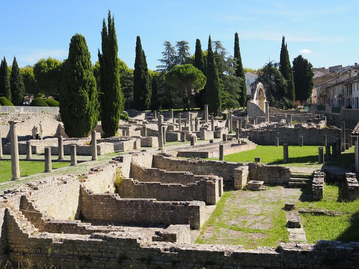 Visite guidée du site de La Villasse, Sites antiques, Vaison-la-Romaine