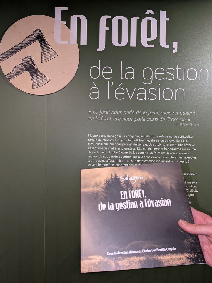 Visite guidée En forêt, de la gestion à l’évasion, Salagon, musée et jardins, Mane