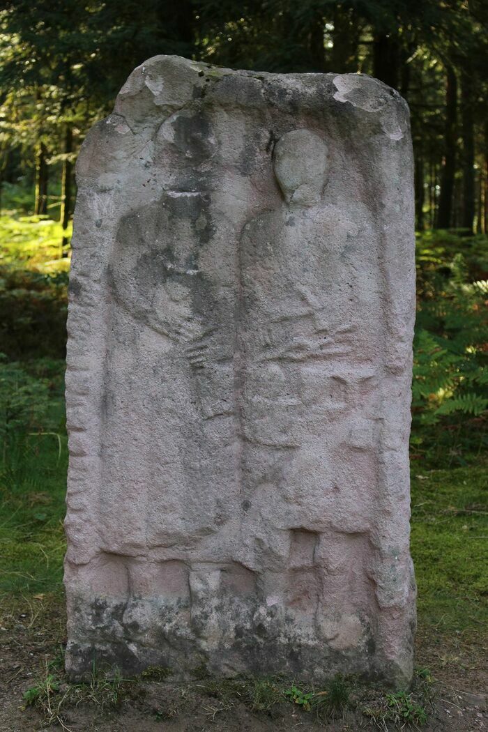 Visite guidée et dessinée du camp celtique de la Bure, Camp celtique de la Bure, Saint-Dié-des-Vosges