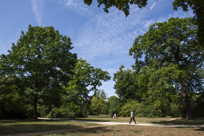 Visite guidée : Promenons-nous aux jardins, Musée d’archéologie nationale et domaine national de Saint-Germain-en-Laye, Saint-Germain-en-Laye
