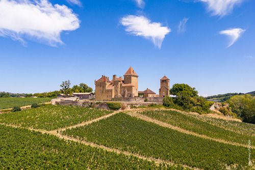 Visite historique du château de de Pierreclos, Château de Pierreclos, Pierreclos