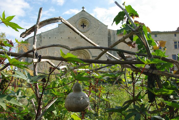 Visite Les plantes qui soignent, Salagon, musée et jardins, Mane