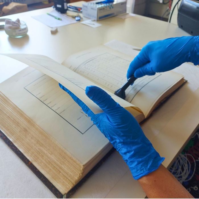 Visite libre – Conserver les livres de la bibliothèque – avec Claire Lathière et Audrey Mazeyrie, chargées d&rsquo;études documentaires, Musée national Adrien Dubouché, Limoges