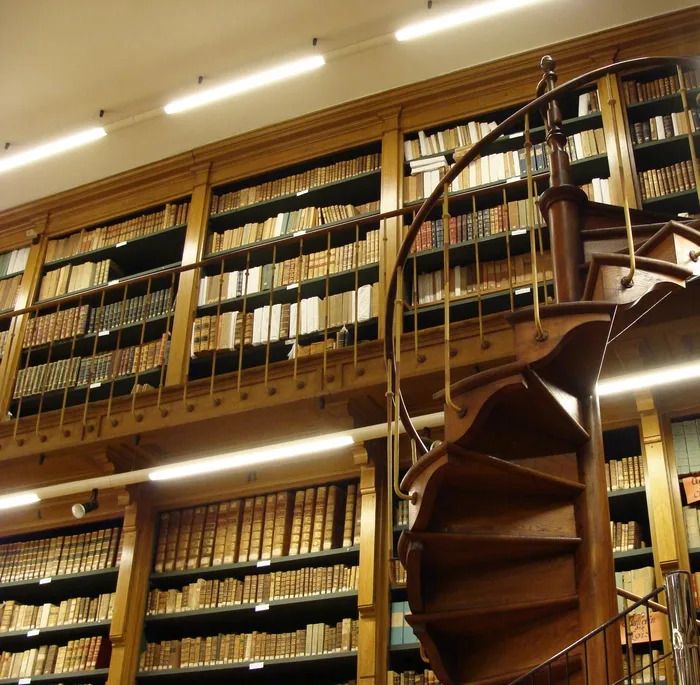 Visite libre de la bibliothèque et du fonds ancien, Hôtel de ville de Gray, Gray