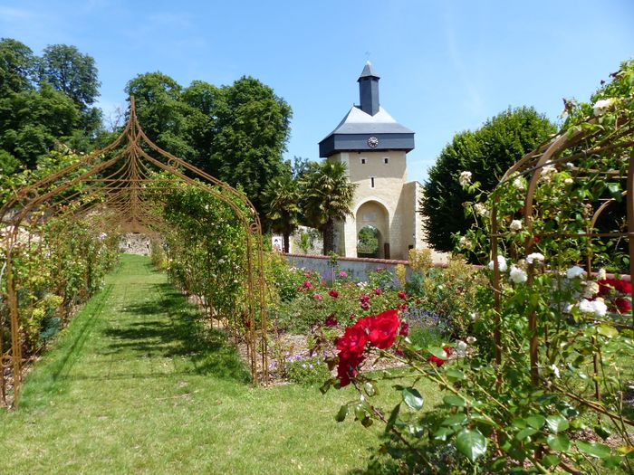 Visite libre de la roseraie « Annette Mercat », Château-Mairie, Château-Renault