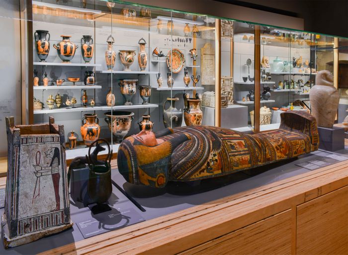 Visite libre des collections et de l’exposition, Musée Pincé, Angers