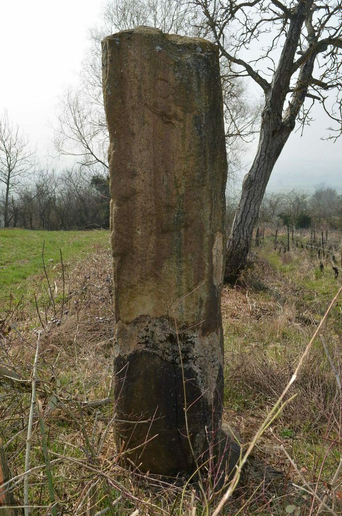 Visite libre des deux menhirs de Saint-Clément-sur-Guye, Menhirs de Saint-Clément-sur-Guye, Saint-Clément-sur-Guye
