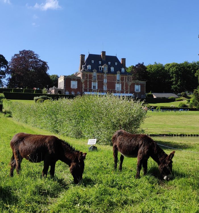 Visite libre des jardins du château d’Aguesseau, Château d’Aguesseau, Trouville-sur-Mer