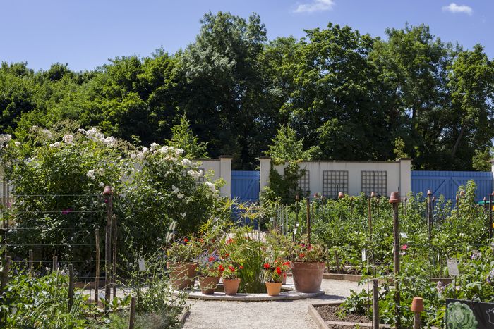 Visite libre du potager du Parc Caillebotte, Maison Caillebotte, Yerres