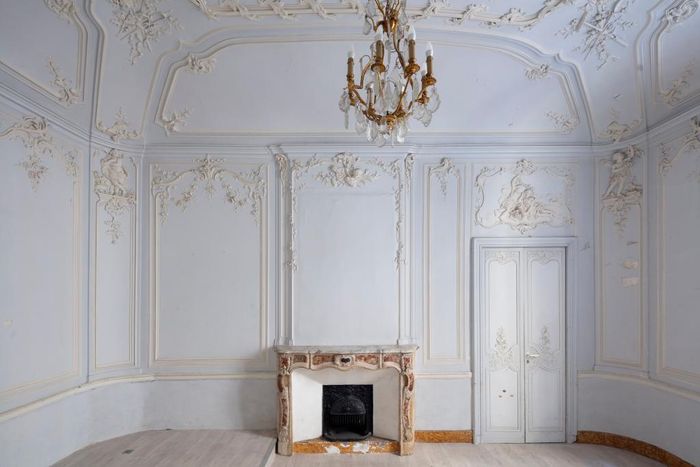 Visite libre du salon aux gypseries de l’hôtel d’Aurès, Hôtel d’Aurès, Montpellier