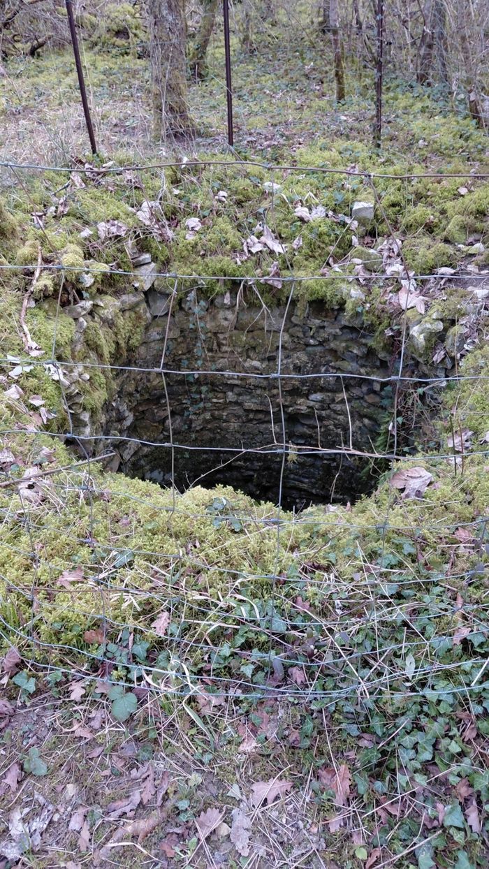 Visite libre et guidée de la fosse aux loups, Fosse aux loups, Gigny