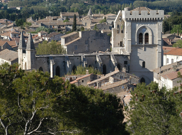 Visite libre : la collégiale Notre-Dame et son cloître, Collégiale Notre-Dame, Villeneuve-lès-Avignon