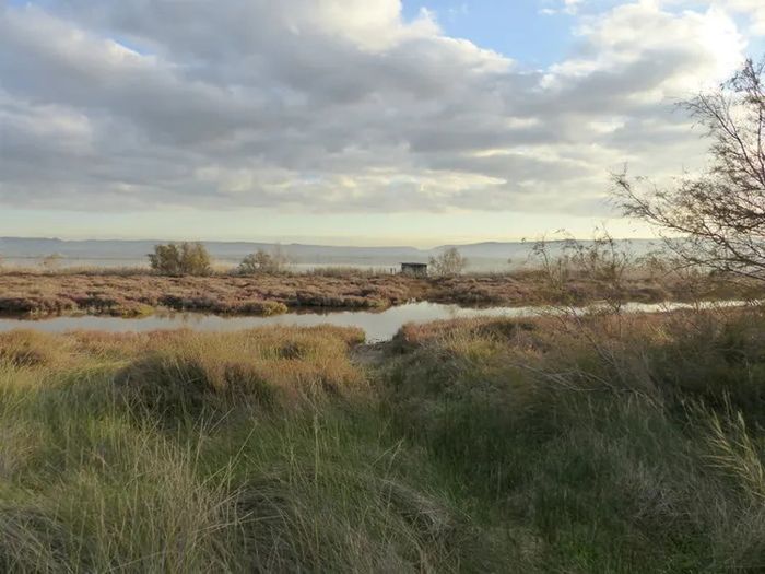 Visite libre sur le territoire du Bolmon, Site naturel protégé du Bolmon et du Jaï, Marignane