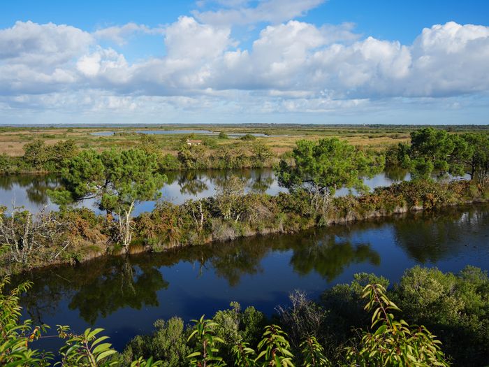 Visite « ornitho-historique » de la réserve ornithologique du Teich, Réserve ornithologique du Teich, Le Teich