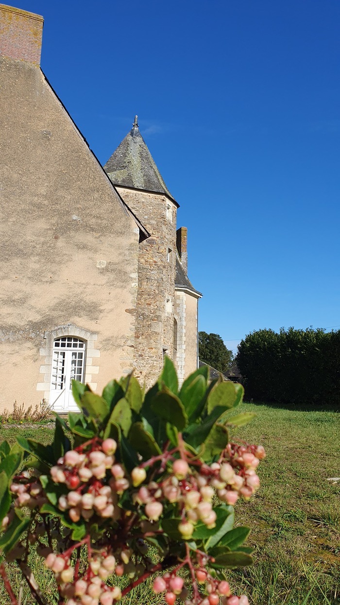 Visite promenade des douves, Bouille Theval 49500 segre en anjou bleu, Segré-en-Anjou Bleu