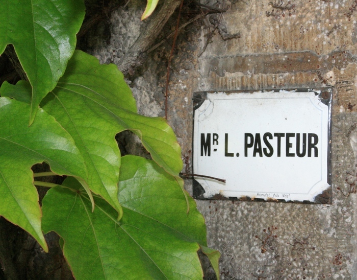 Visite théâtralisée : Femmes en science, Marie Phisalix, Maison de Louis Pasteur, Arbois