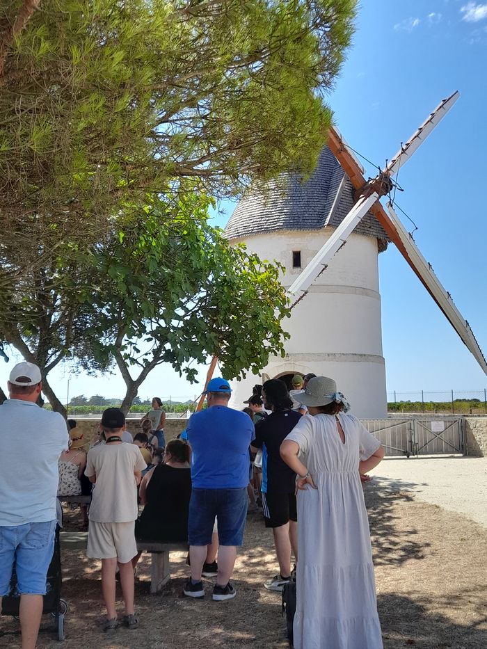 Visite théâtralisée, Moulin de La Brée, La Brée-les-Bains