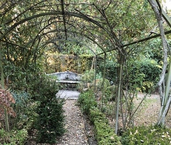 Visite : végétal et canicule, Maison privée, Brie