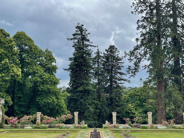 Visites commentées du jardin de Kerrosen, Domaine de Kerrosen, Taden
