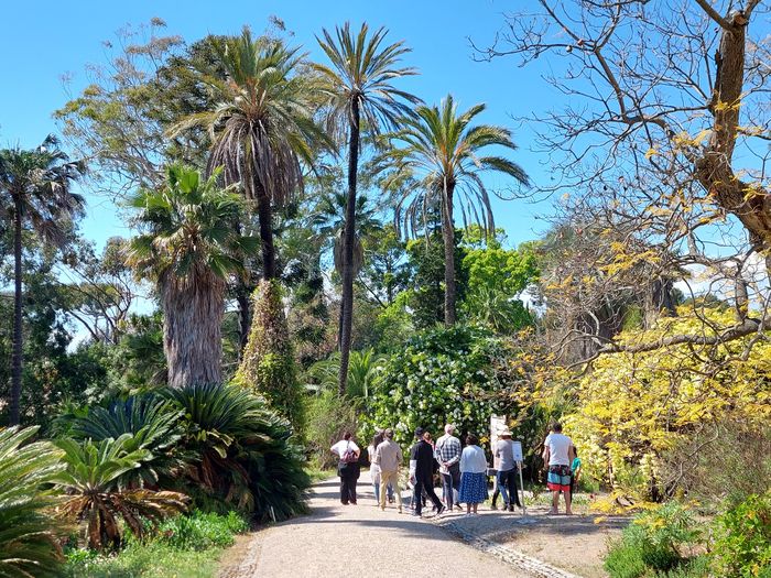 Visites « découverte » du jardin botanique Thuret, Jardin botanique de la Villa Thuret, Antibes