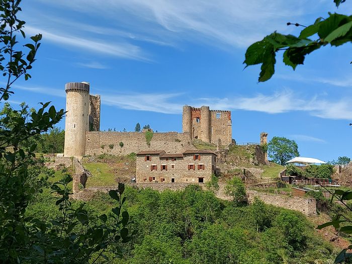 Visites du Château de Rochebaron, Château et volerie de Rochebaron, Bas-en-Basset