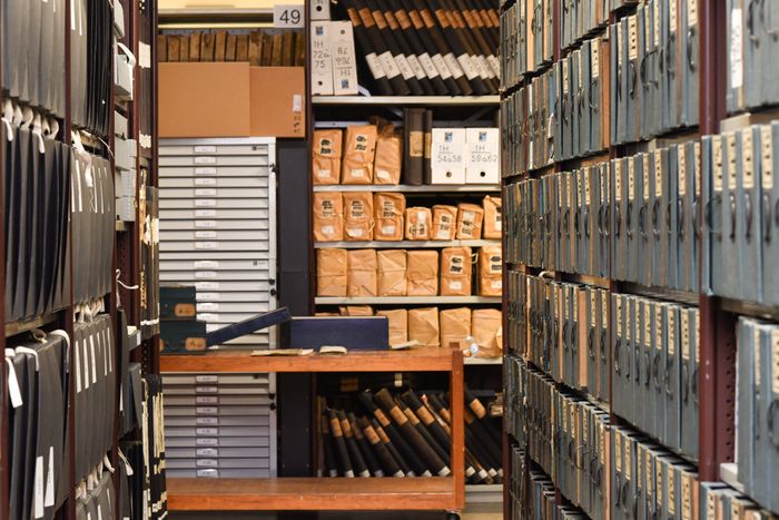 Visites guidées des Archives municipales de Lille, Hôtel de Ville Lille, Lille