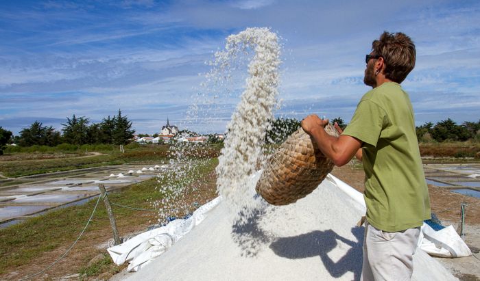 Visites guidées des marais salants de la Vie, Les Marais salants de la vie, Saint-Hilaire-de-Riez