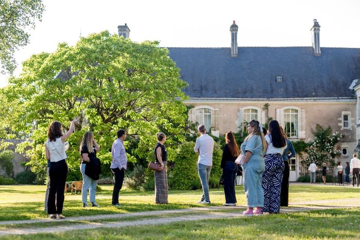 Visites guidées du château de Thouaré, Château de Thouaré, Thouaré-sur-Loire